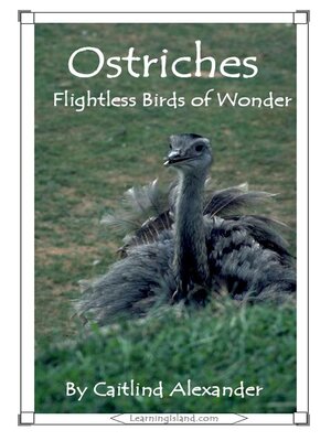 cover image of Ostriches